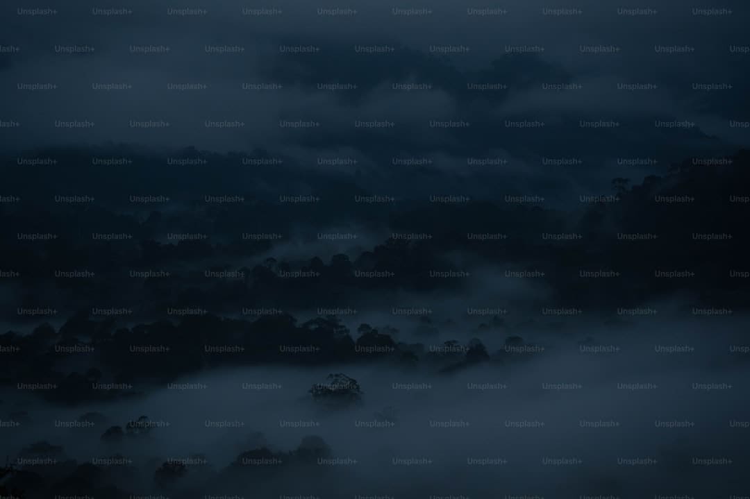 怎么继续获取股票信息?